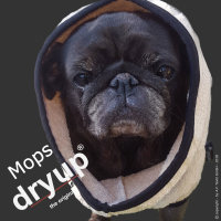 Fit4Dogs - Hundebademantel dryup Cape Mops sand