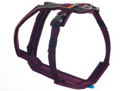 Non-stop Dogwear - Line Harness purple