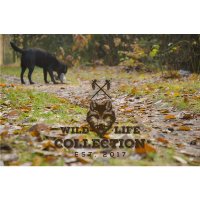 Wild Life Dog Rabbit (Kaninchen)