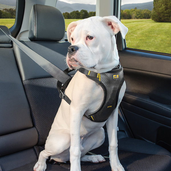 Kurgo - Impact Seatbelt Harness Autogeschirr