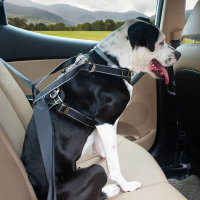 Kurgo - Impact Seatbelt Harness Autogeschirr