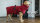 Fit4Dogs - Hundebademantel dryup cape Royal Bordeaux