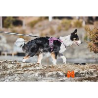 Non-stop Dogwear - Ramble Harness purple