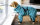 Fit4Dogs - Hundebademantel dryup body zip.fit Petrol