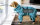 Fit4Dogs - Hundebademantel dryup body zip.fit Petrol