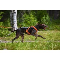 Non-stop Dogwear - Freemotion Harness 5.0 Schwarz/Orange...