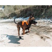 Non-stop Dogwear - Ramble Harness orange