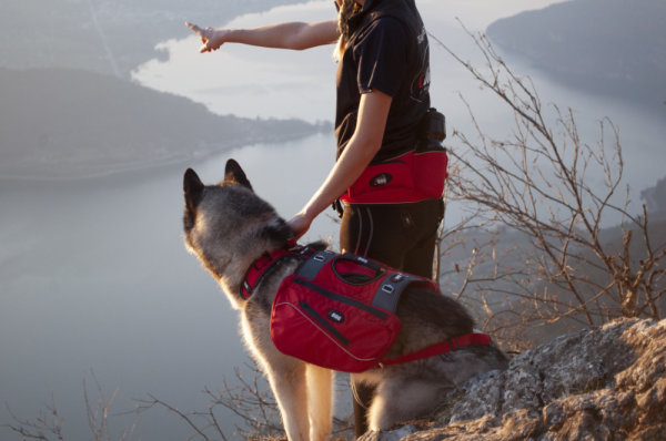 i-DOG Hunderucksack Comfort Trek - KIT Packtaschen Satteltaschen für Geschirr Comfort Trek