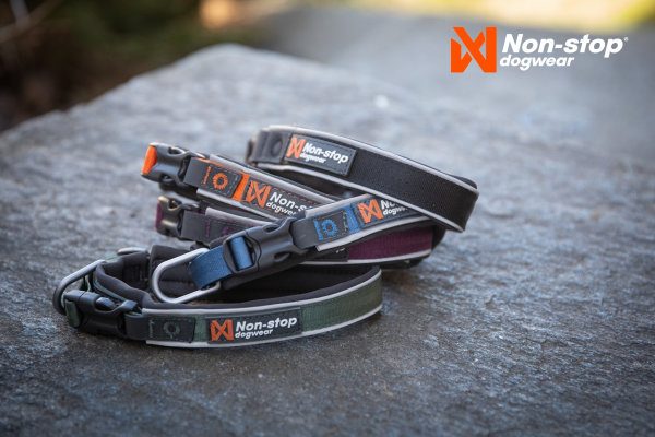 Non-stop Dogwear - Roam Collar gepolstertes Hundehalsband